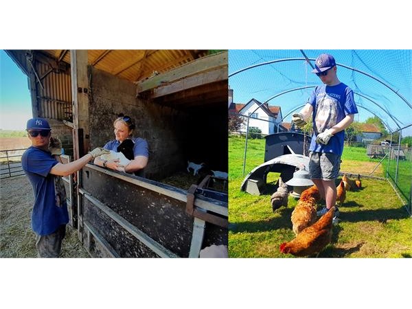 {Kieran Keeps Farm Animals Thriving, With Help From Walfinch  }