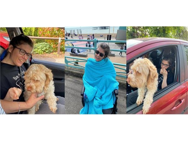 {Kingston Home Carer Takes Colleen on A Seaside Adventure}