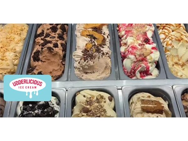 {The Art (and Science) behind the success of Udderliciou}