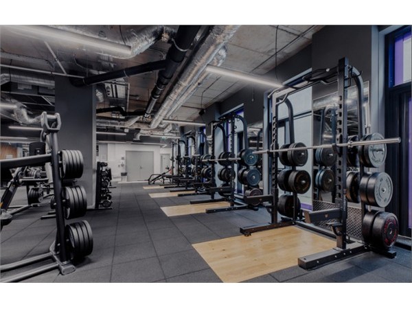 {Collective Wellness Group appoints Martin Jones MBE to Board to support Anytime Fitness  UK and Ireland growth strategy}
