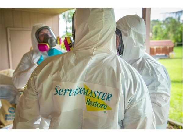 {What Franchise Buyers Should Know Before Entering the Restoration Sector}