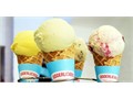 Ice cream's just ice cream, right? What's the big deal?