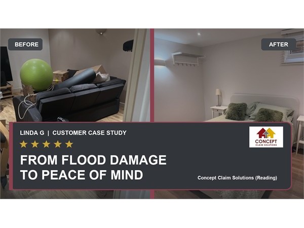 {Changing Weather, Lasting Impact: The Franchise Helping Property Owners Recover}