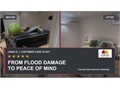 Changing Weather, Lasting Impact: The Franchise Helping Property Owners Recover