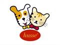 Husse National Meeting | Success of Husse UK – Report 