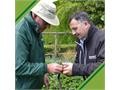 TruGreen reports 27% growth in 2015