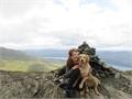 Practising Mindfulness for Dogs is Pawfect for Pet Parents 