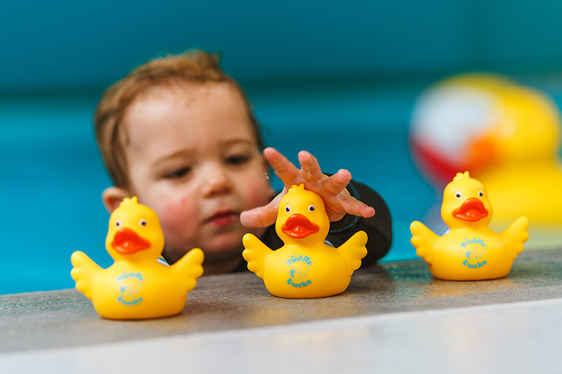 Puddle Ducks