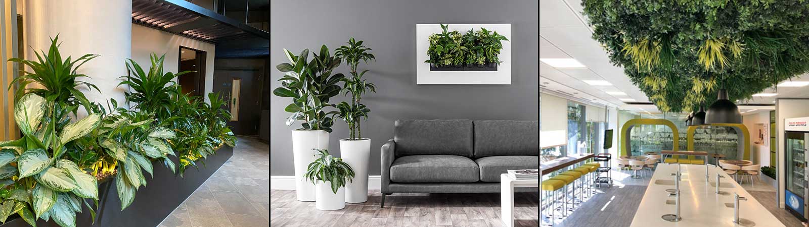 Inleaf 