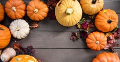The most successful Halloween businesses