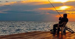 Sector Spotlight: Fishing