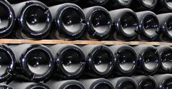 Could you be a wine merchant?