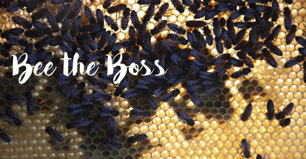 beethebossheader