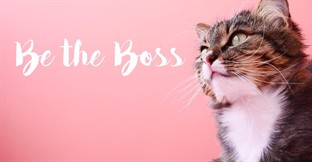 The Cat Café