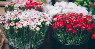 How to Run a Florist