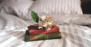 Sector Spotlight: Bed and Breakfast