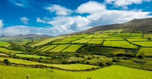 How to Sell Your Farm