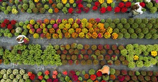How to Run a Garden Centre