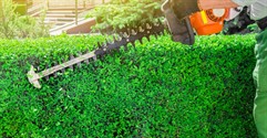 How to Buy a Garden Franchise