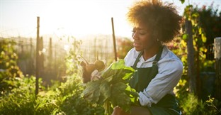 How to Buy a Farm