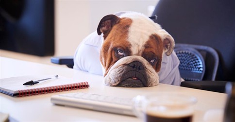 Why a 'boring' business could make you rich