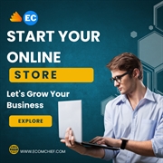 profitable online ecommerce business - 3