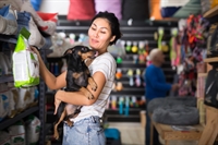 independent pet retail business - 1