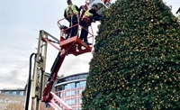 the christmas decorators lincolnshire - 1
