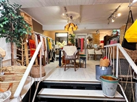 rare freehold mixed-use property - 3
