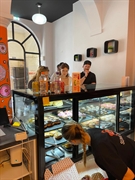 established multi-site artisan donut - 1