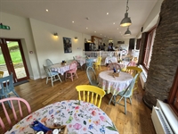 established daytime only exmoor - 2