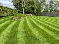 profitable lawn business with - 3