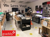 profitable vinyl record shop - 2