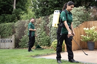 established lawn care business - 1