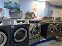 established freehold commercial laundry - 3