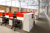 established global e-commerce company - 2