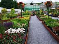 garden centre home corwen - 1