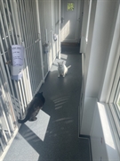 5 cattery with land - 3