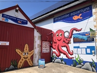 aquarium with cafe gift - 2
