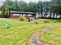 well established clay pigeon - 1
