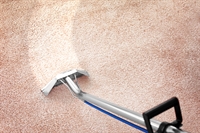 specialist dry carpet cleaning - 2