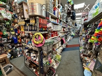 pound discount store south - 2