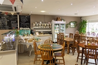 thriving independent cafe - 2