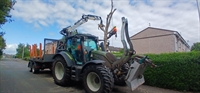 highperforming arboriculture tree business - 1