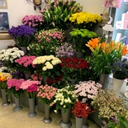 well-established retail florist chelmsley - 1
