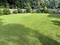 established lawn care business - 2