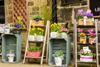 very well-known flower shop - 2