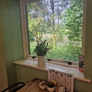 orton scar cafe for - 2