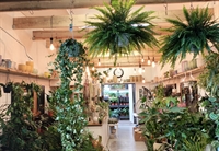 plant business retail online - 1