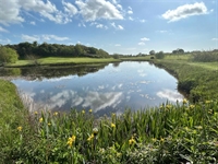 storwys wen golf club - 1